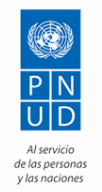 PNUD logo